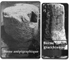 AgerCampanus elmtsLimit 100x85
