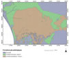AgerCampanus geopedo 100x85