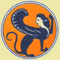 logo classireland 1