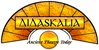 logo didaskalia