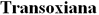 logo transoxiana