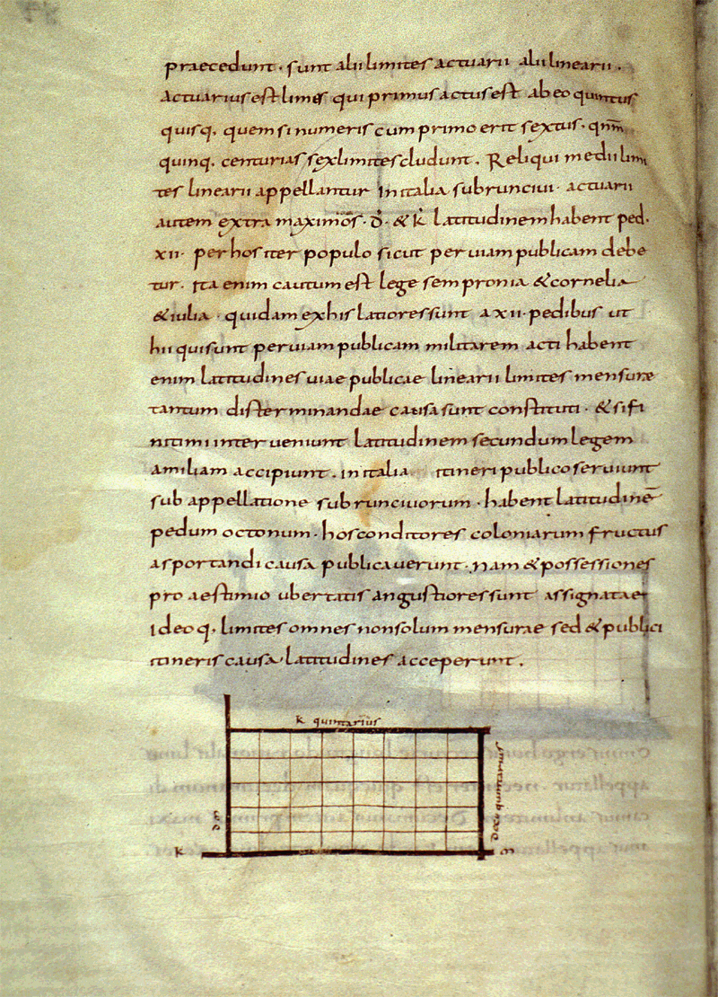 P83VA_800x1110.jpg